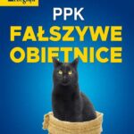Przegląd. 13 — okładka wydania