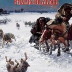 Przeistoczenie — okładka e-booka