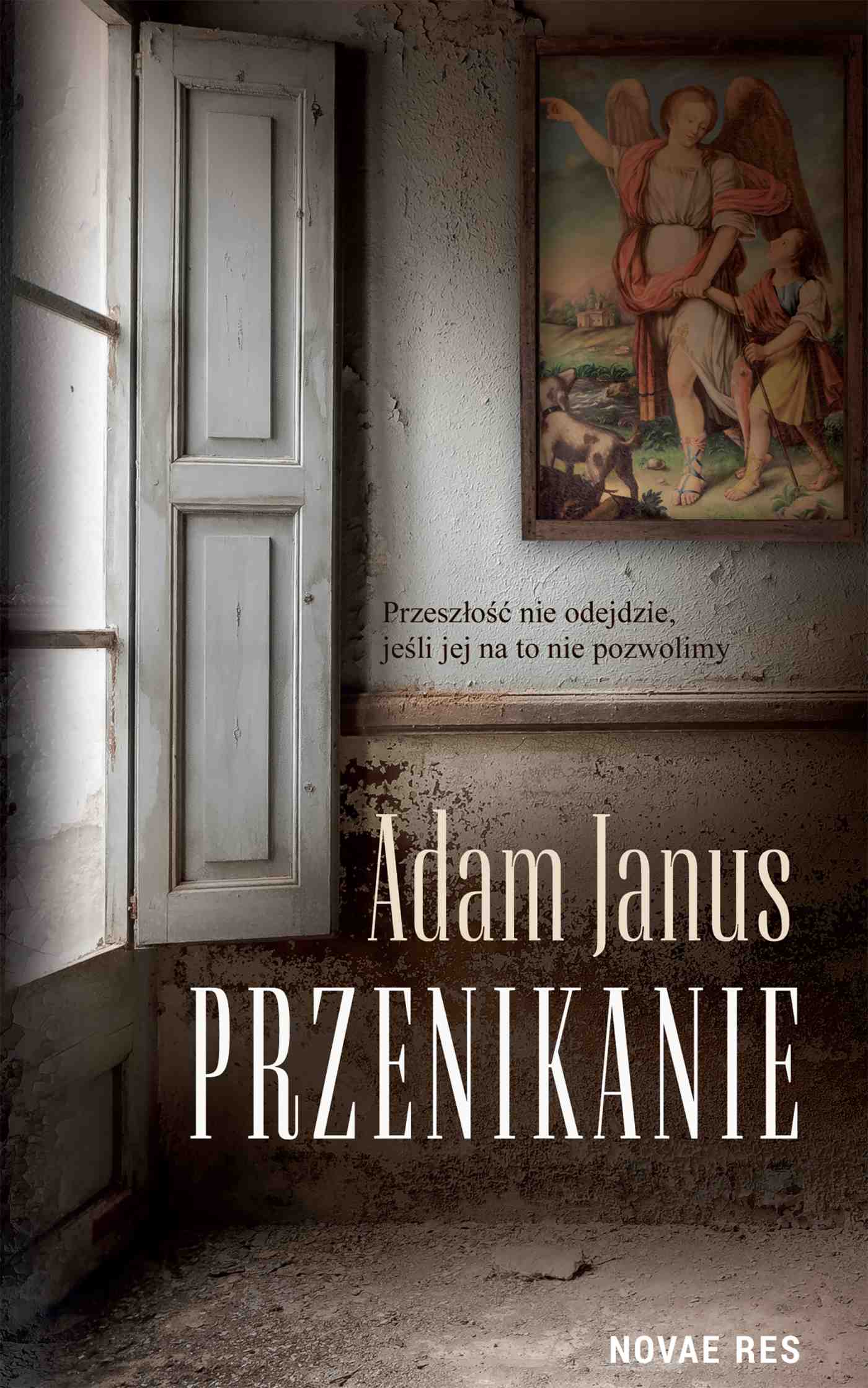 Przenikanie — okładka