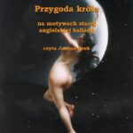 Przygoda króla — okładka audiobooka