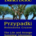 Przypadki Robinsona Cruzoe — okładka e-booka