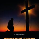 Przystanąć w biegu — okładka e-booka