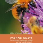 Tytuł: Pszczołowate (Hymenoptera: Apiformes: Apidae) parków krajobrazowych w województwie świętokrzyskim
Autor: Jolanta Bąk-Badowska
Wydawnictwo: Uniwersytet Jana Kochanowskiego
Formaty: PDF