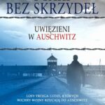 Ptaki bez skrzydeł — okładka e-booka
