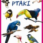 Ptaki — okładka e-booka