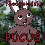 Pucuś — okładka e-booka
