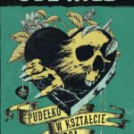 Tytuł: PUDEŁKO W KSZTAŁCIE SERCA
Autor: Joe Hill
Wydawnictwo: Albatros
Formaty: EPUB, MOBI