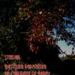 Tytuł: Pustelnia parmeńska. La Chartreuse de Parme
Autor: Stendhal
Wydawnictwo: Armoryka
Formaty: MOBI, EPUB