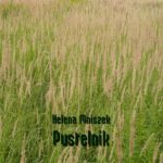Tytuł: Pustelnik
Autor: Helena Mniszek
Wydawnictwo: Armoryka
Formaty: EPUB, MOBI