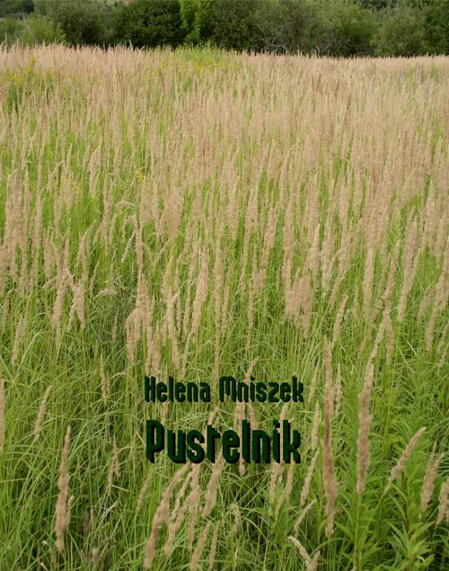 Tytuł: Pustelnik
Autor: Helena Mniszek
Wydawnictwo: Armoryka
Formaty: EPUB, MOBI