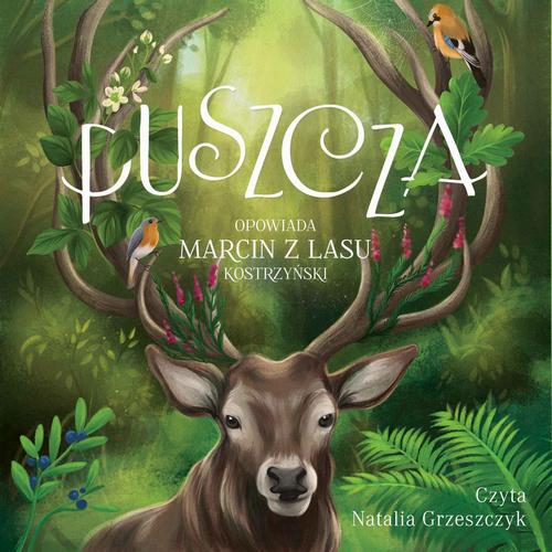 Tytuł: Puszcza
Autor: Marcin Kostrzyński
Wydawnictwo: Zielona Sowa
Formaty: MP3