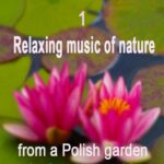 Tytuł: Relaxing music of nature from a Polish garden in the countryside. e. 1/3.
Autor: Dr Renata Zarzycka
Wydawnictwo: Akademia Rozwoju Coaching Życia
Formaty: MP3