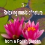 Tytuł: Relaxing music of nature from a Polish garden in the countryside. e. 3/3
Autor: Dr Renata Zarzycka
Wydawnictwo: Akademia Rozwoju Coaching Życia
Formaty: MP3