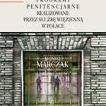 Resocjalizacyjne programy penitencjarne realizowane przez Służbę Więzienną w Polsce — okładka e-booka