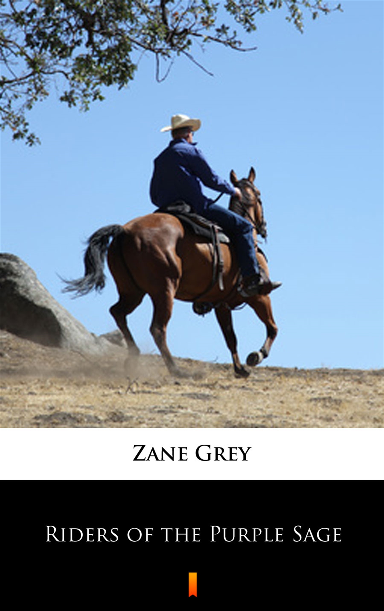Tytuł: Riders of the Purple Sage
Autor: Zane Grey
Wydawnictwo: KtoCzyta.pl
Formaty: EPUB, MOBI