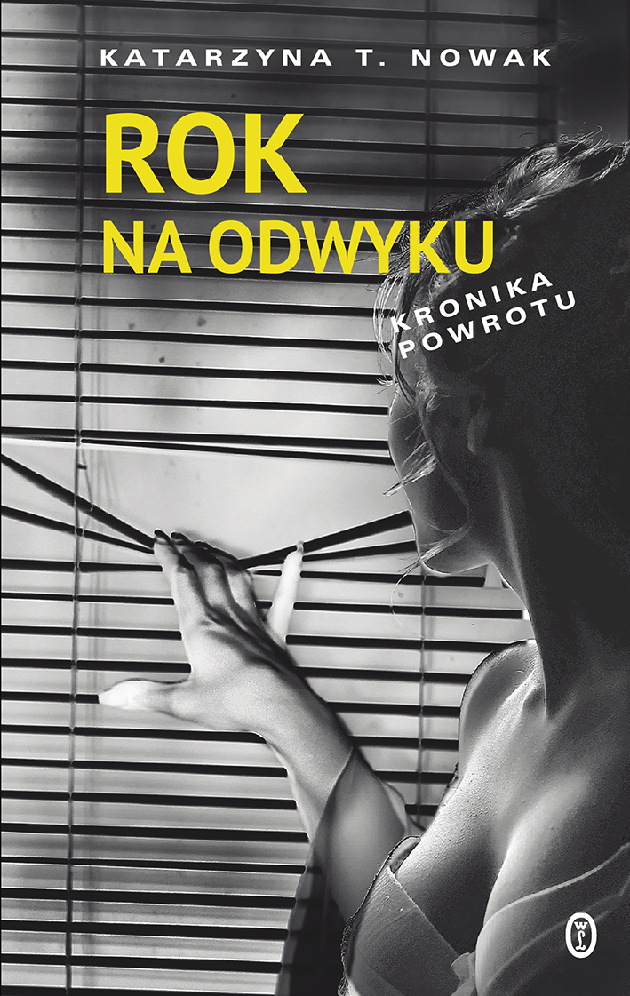 Rok na odwyku. Kronika powrotu — okładka e-booka