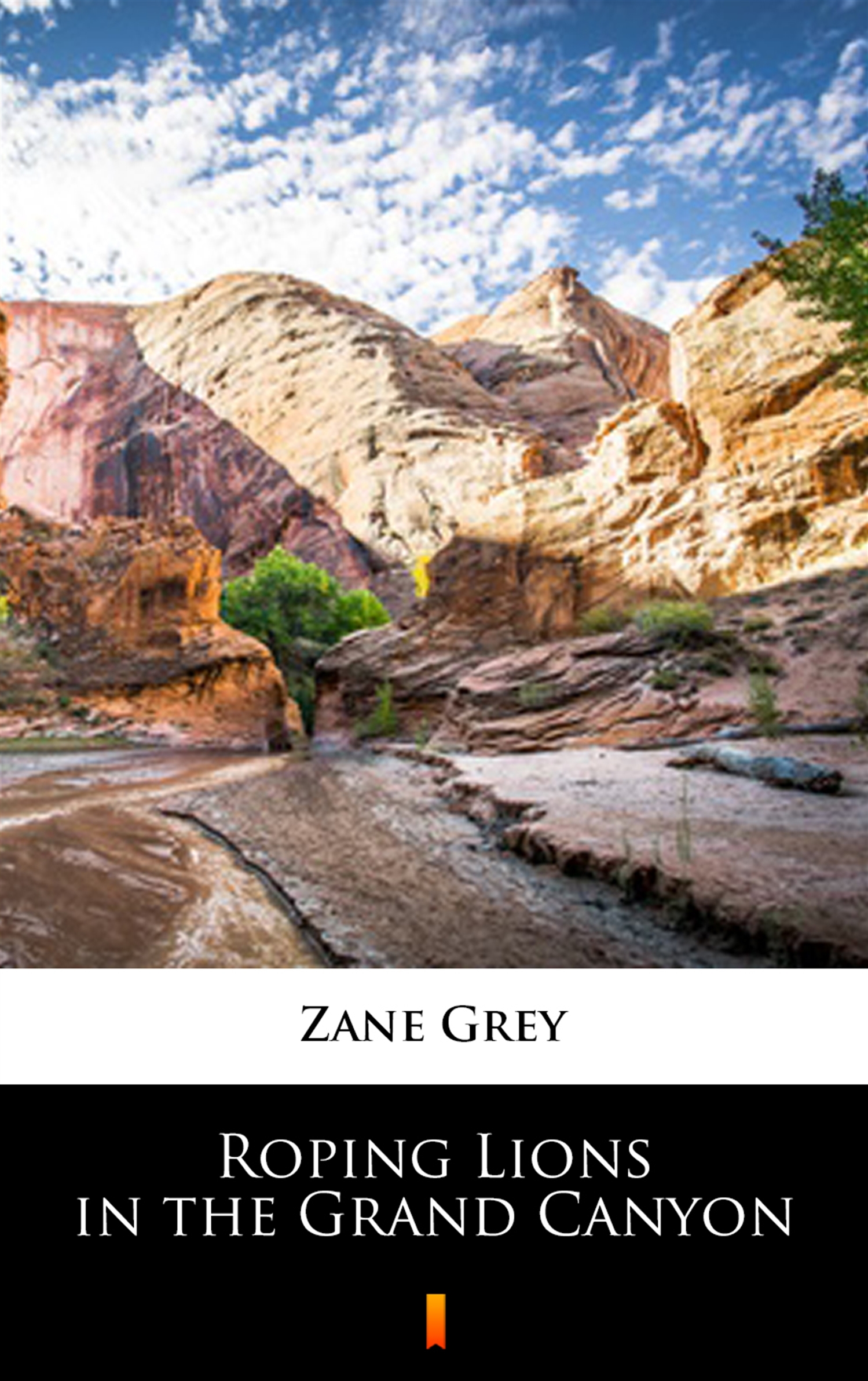 Tytuł: Roping Lions in the Grand Canyon
Autor: Zane Grey
Wydawnictwo: KtoCzyta.pl
Formaty: EPUB, MOBI