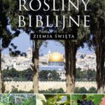 Rośliny biblijne — okładka e-booka