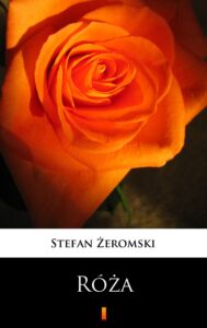 Tytuł: Róża. Dramat niesceniczny
Autor: Stefan Żeromski
Wydawnictwo: KtoCzyta.pl
Formaty: EPUB, MOBI