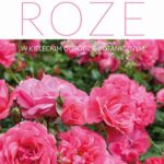 Róże w Kieleckim Ogrodzie Botanicznym — okładka e-booka