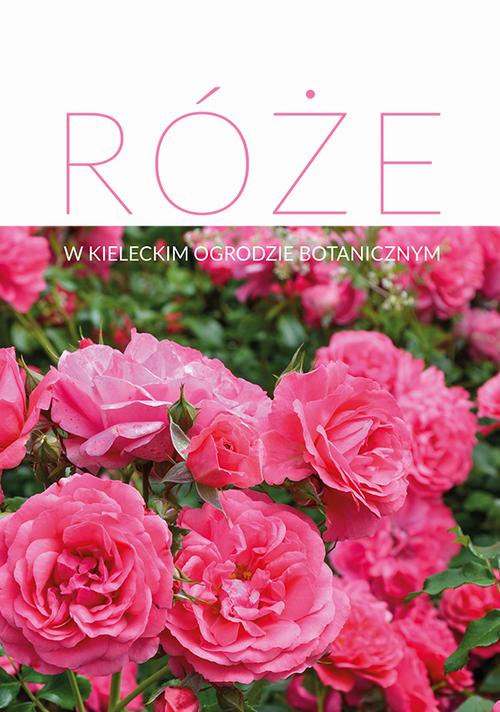 Tytuł: Róże w Kieleckim Ogrodzie Botanicznym
Autor: 
Wydawnictwo: Uniwersytet Jana Kochanowskiego
Formaty: PDF