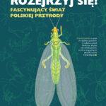 Tytuł: Rozejrzyj się! Fascynujący świat polskiej przyrody
Autor: Dariusz Dziektarz
Wydawnictwo: Powergraph
Formaty: EPUB, MOBI