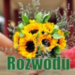 Rozwodu nie będzie — okładka e-booka
