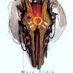 Tytuł: Ruda Sfora
Autor: Maja Lidia Kossakowska
Wydawnictwo: Fabryka Słów
Formaty: EPUB, MOBI