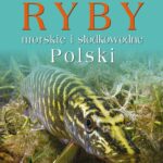 Ryby morskie i słodkowodne Polski — okładka e-booka