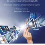 Ryzyko w procesach decyzyjnych rynku kapitałowego w relacji do uwarunkowań ekonomicznych — okładka e-booka