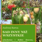 Tytuł: Sad inny niż wszystkie
Autor: Andrzej Sarwa
Wydawnictwo: Armoryka
Formaty: MOBI, EPUB
