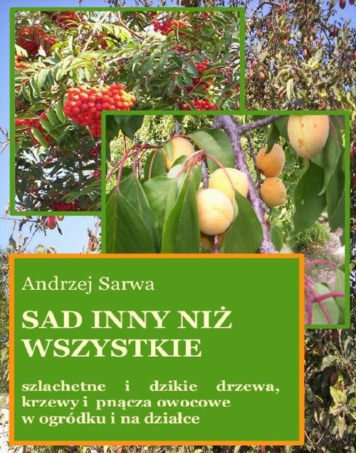 Tytuł: Sad inny niż wszystkie
Autor: Andrzej Sarwa
Wydawnictwo: Armoryka
Formaty: MOBI, EPUB