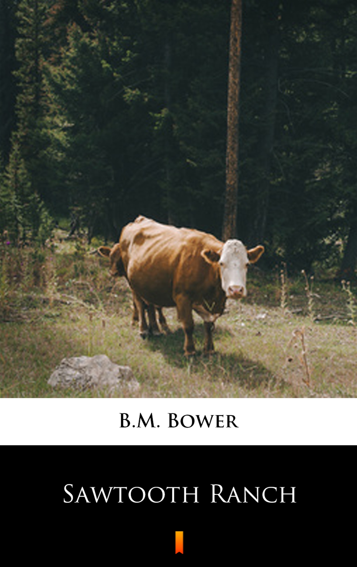 Sawtooth Ranch — okładka e-booka