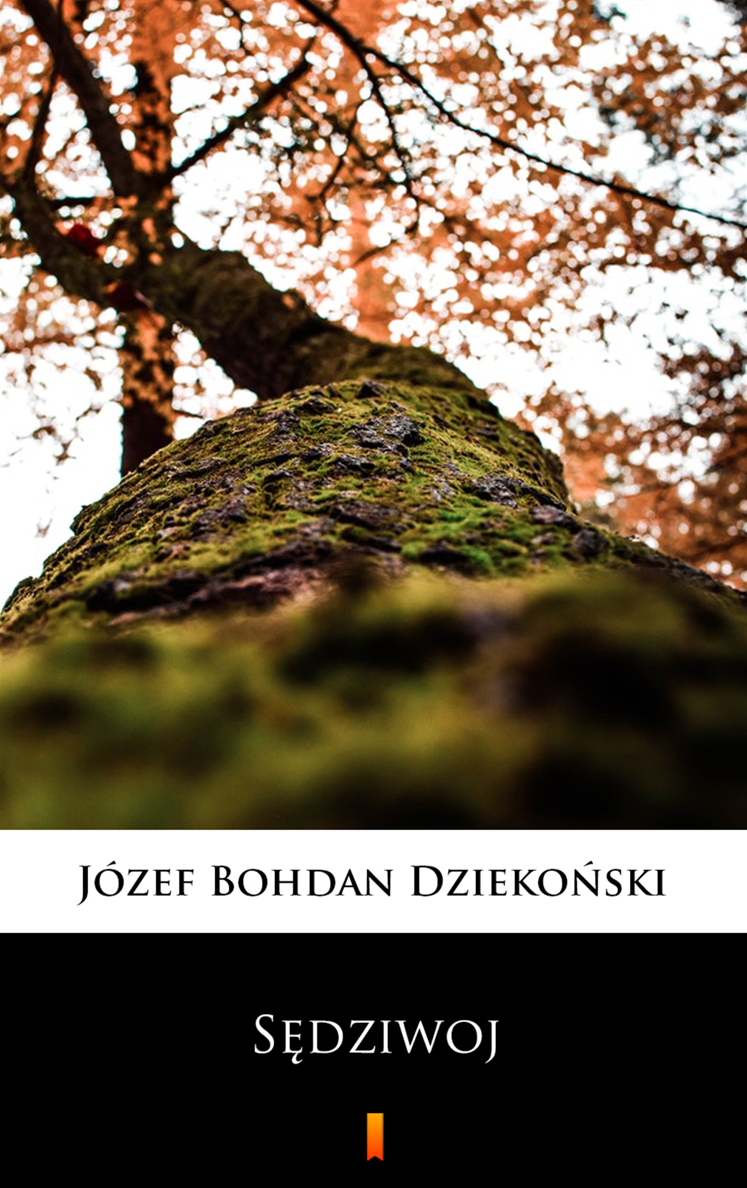 Sędziwoj — okładka e-booka