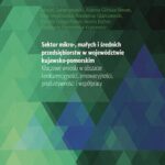 Sektor mikro-, małych i średnich przedsiębiorstw w województwie kujawsko-pomorskim. Kluczowe wnioski w obszarze konkurencyjności, innowacyjności, produktywności i współpracy — okładka e-booka