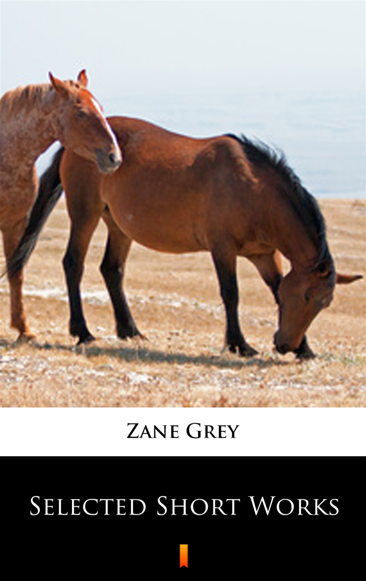 Tytuł: Selected Short Works
Autor: Zane Grey
Wydawnictwo: KtoCzyta.pl
Formaty: EPUB, MOBI