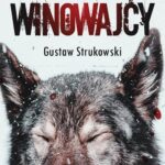Sen winowajcy — okładka e-booka