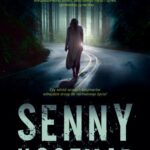 Senny koszmar — okładka e-booka