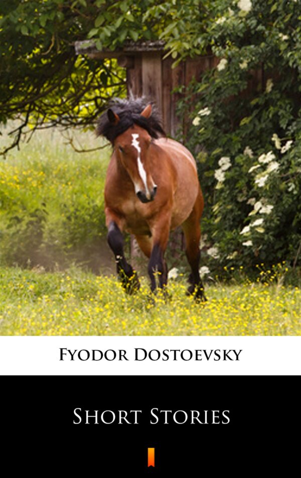 Short Stories — okładka e-booka