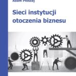 Sieci instytucji otoczenia biznesu — okładka e-booka