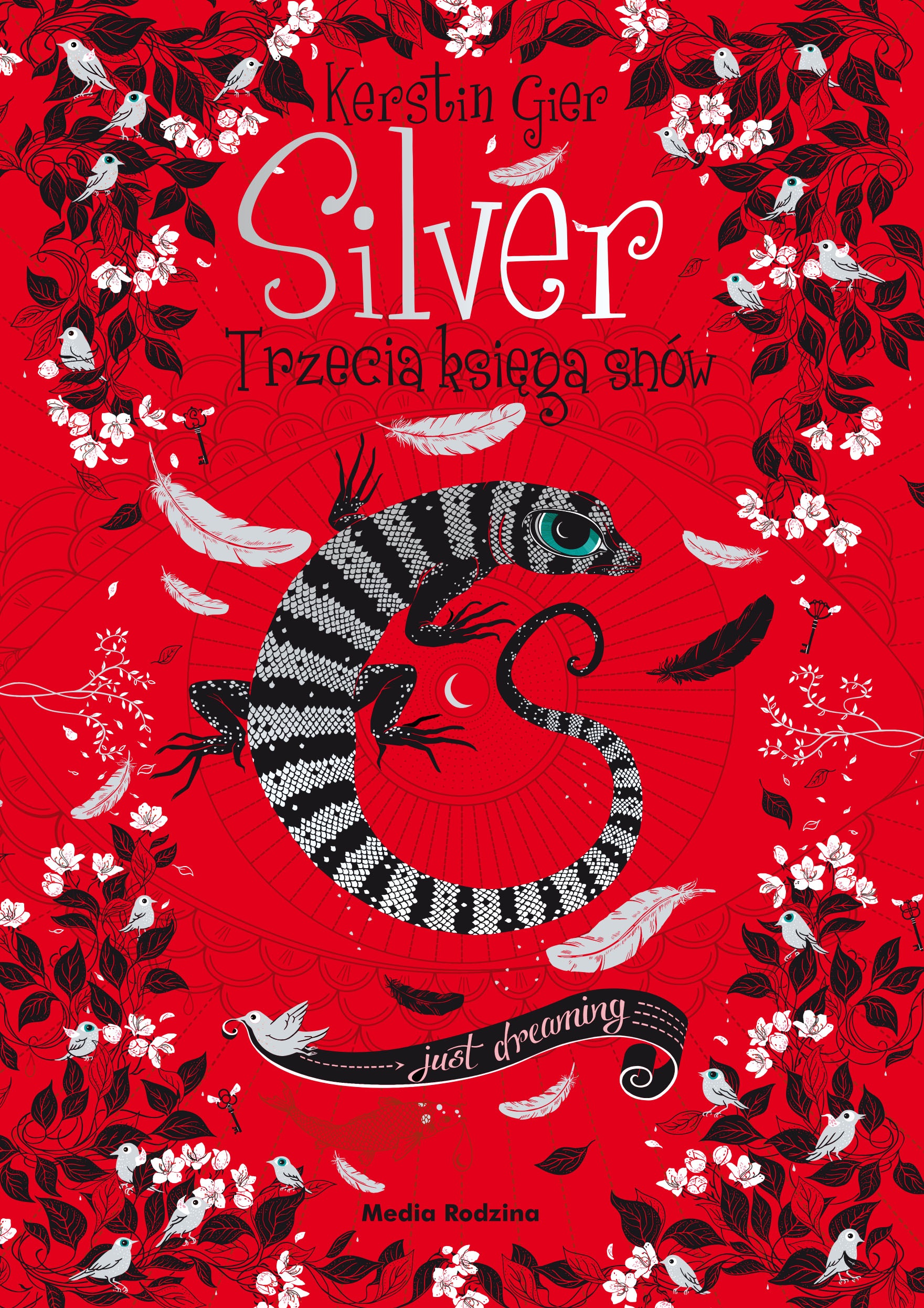 Silver - trzecia księga snów — okładka e-booka