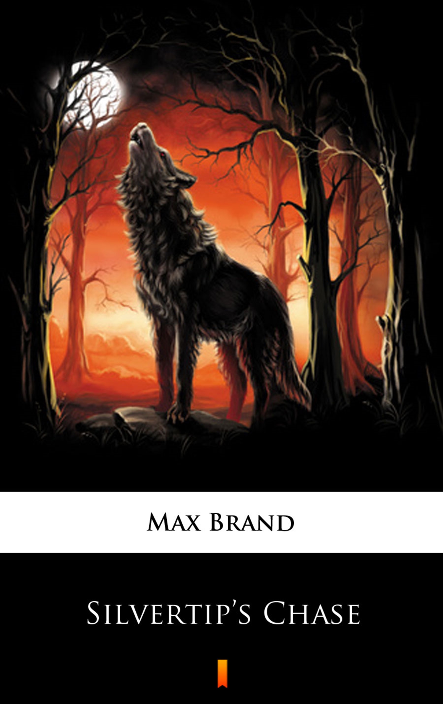 Tytuł: Silvertip’s Chase
Autor: Max Brand
Wydawnictwo: KtoCzyta.pl
Formaty: EPUB, MOBI