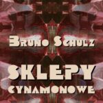 Sklepy cynamonowe — okładka e-booka