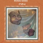 Sklepy cynamonowe Brunona Schulza. Streszczenie, analiza, interpretacja — okładka e-booka