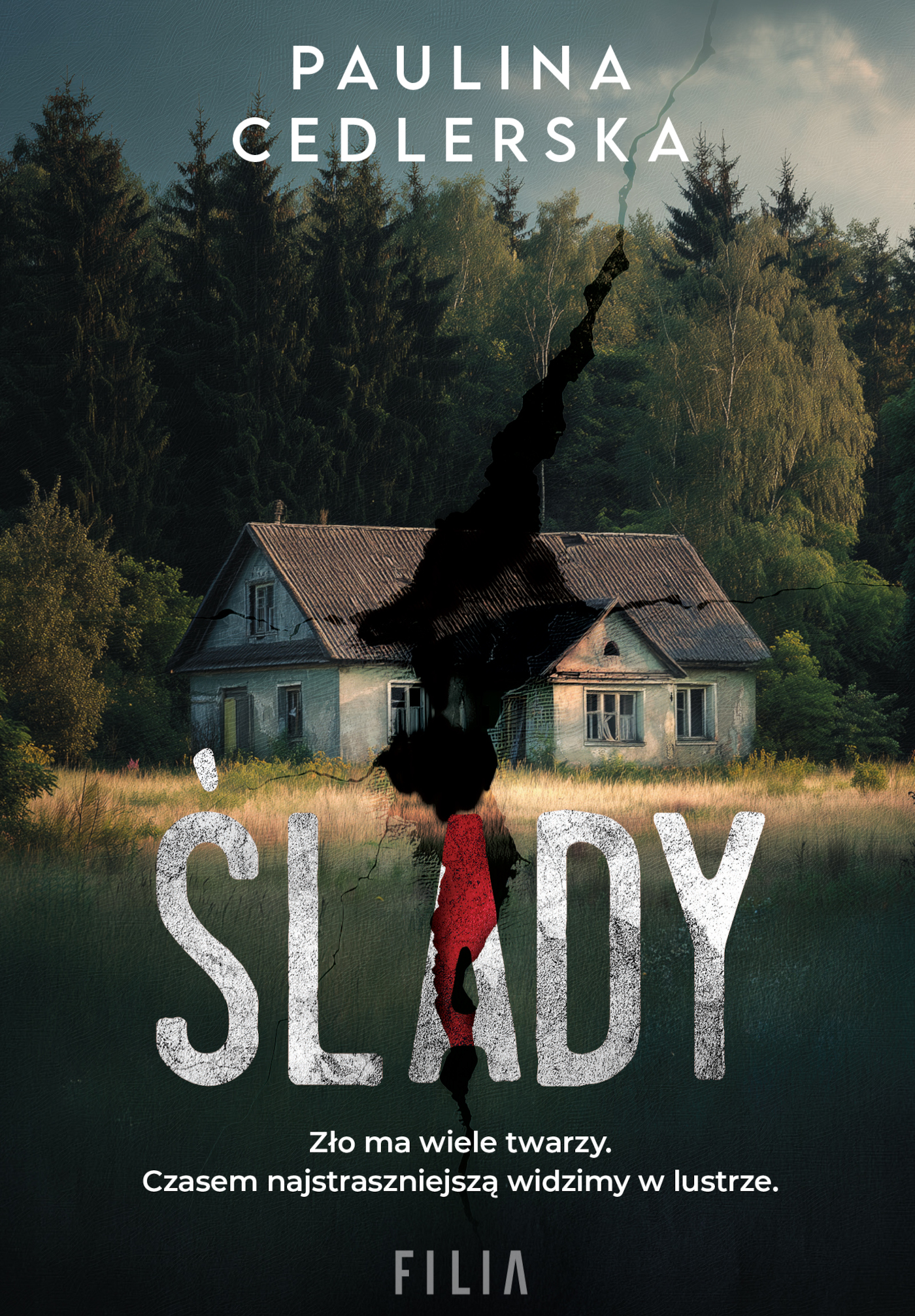 Tytuł: Ślady
Autor: Paulina Cedlerska
Wydawnictwo: FILIA
Formaty: EPUB, MOBI