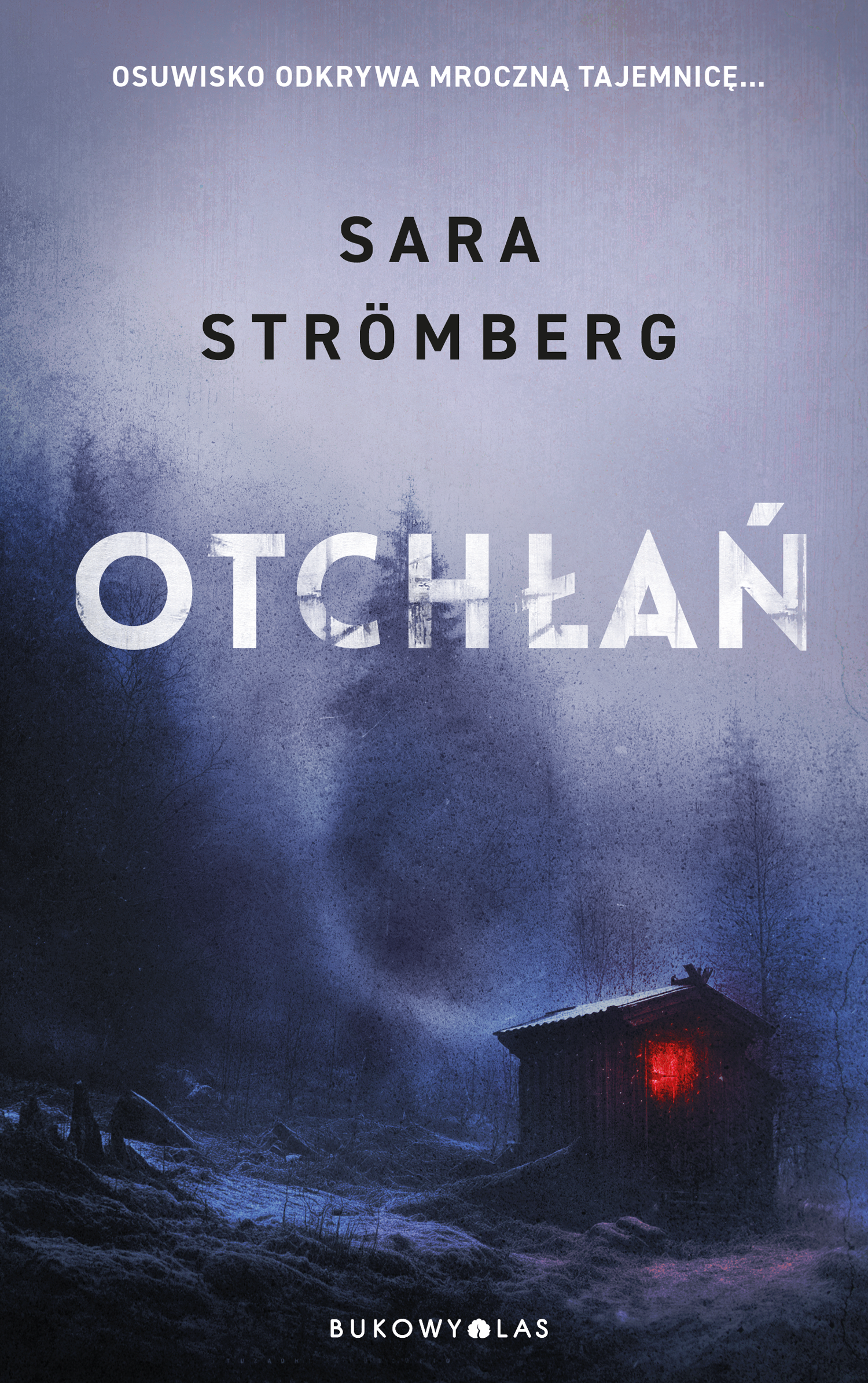 Tytuł: Śledztwa Very Bergström. Otchłań. Śledztwa Very Bergström
Autor: Sara Strömberg
Wydawnictwo: Wydawnictwo Bukowy Las
Formaty: EPUB, MOBI
