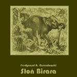 Tytuł: Słoń Birara
Autor: Antoni Ferdynand Ossendowski
Wydawnictwo: Armoryka
Formaty: EPUB, MOBI