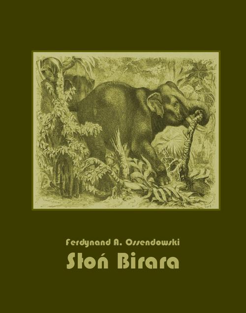 Tytuł: Słoń Birara
Autor: Antoni Ferdynand Ossendowski
Wydawnictwo: Armoryka
Formaty: EPUB, MOBI