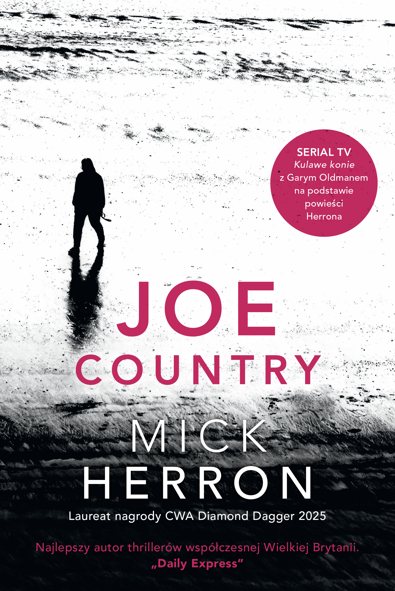 Tytuł: Slough House (#6). Joe Country
Autor: Mick Herron
Wydawnictwo: Insignis Media
Formaty: EPUB, MOBI
