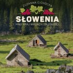 Tytuł: Słowenia. Mały kraj wielkich odległości
Autor: Zuzanna Cichocka
Wydawnictwo: Poznańskie
Formaty: MOBI, EPUB